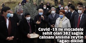 Covid -19 ile mücadele şehit olan 382 sağlık çalışanı anısına zeytin ağacı dikildi