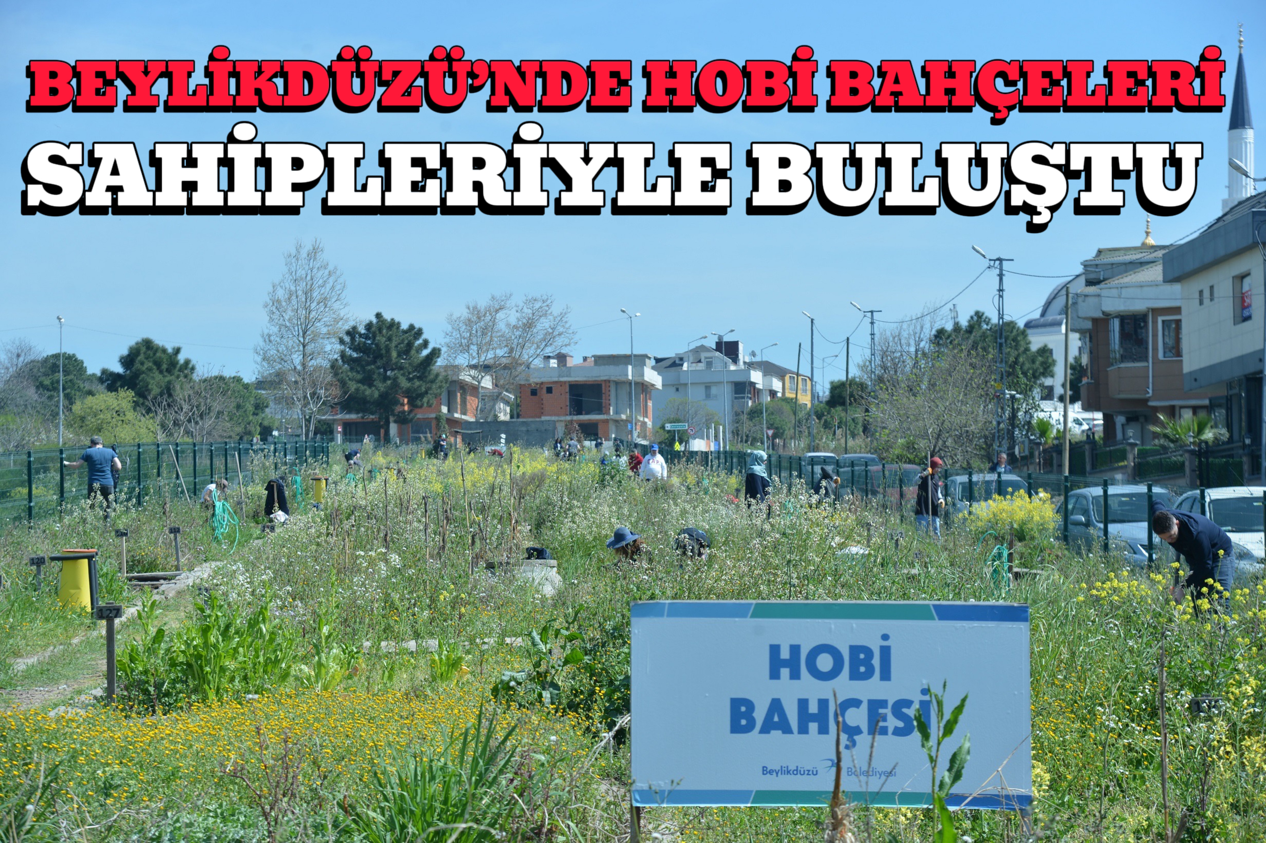 BEYLİKDÜZÜ’NDE HOBİ BAHÇELERİ SAHİPLERİYLE BULUŞTU