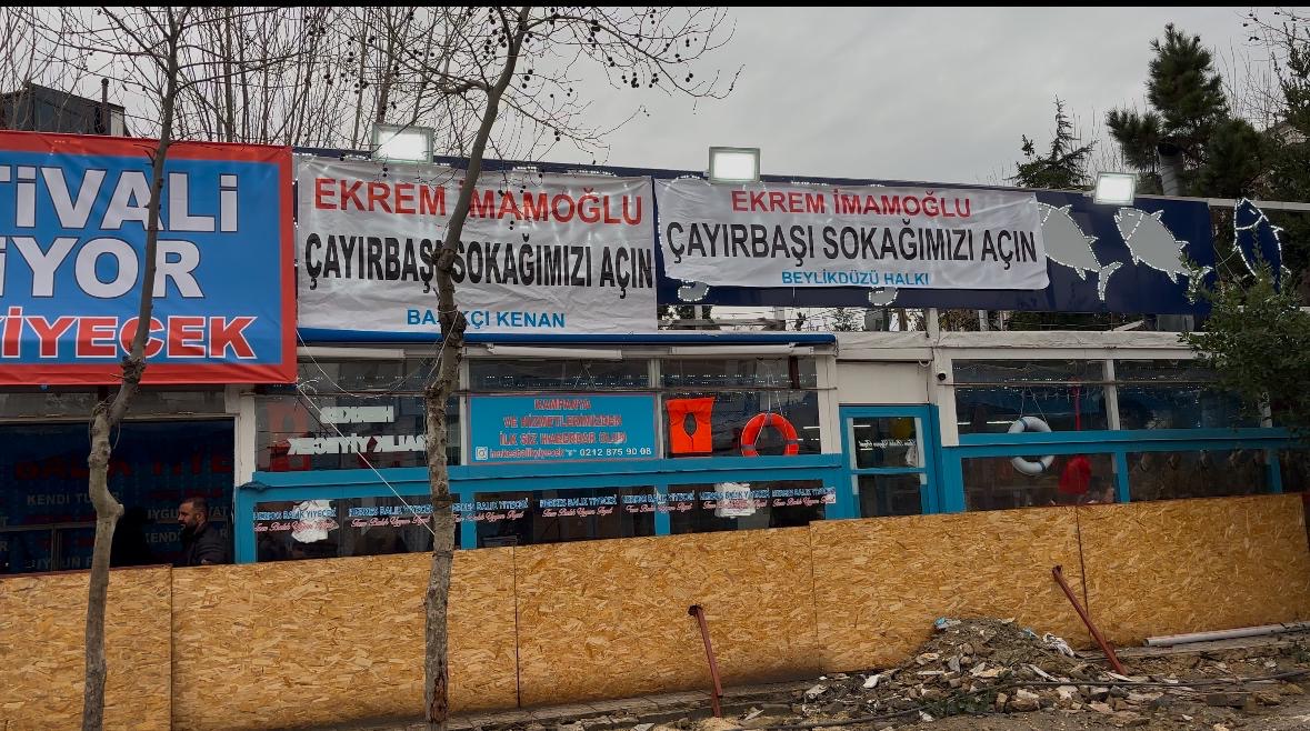 BALIK KAVAK AĞACINA ÇIKTI