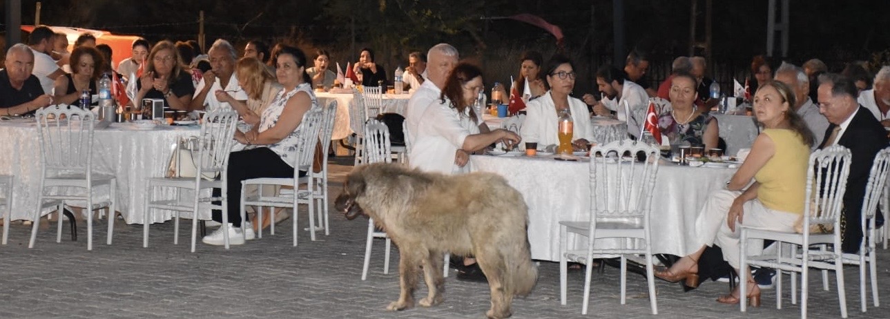 İstanbul Gazeteciler Derneği’nden 24 Temmuz’da Net Mesaj: “Korkmuyoruz, Susmuyoruz!